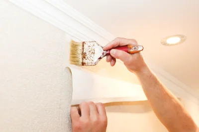 Pose de papier peint à Lachau — revêtements muraux et toiles de verre